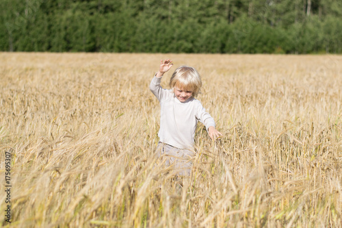 Obraz na płótnie Blond Slavic happy kid boy at a ripe rye wheat field, autumn harvest, Russian forest, the Urals w salonie