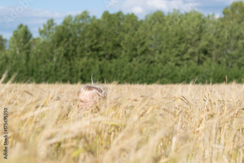 Obraz na płótnie Blond Slavic happy kid boy at a ripe rye wheat field, autumn harvest, Russian forest, the Urals w salonie