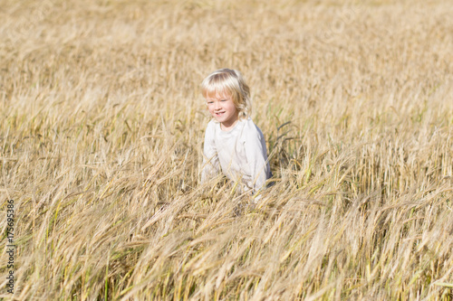 Happy blond child has fun in the rye field  ripe ears of autumn harvest ready to crop