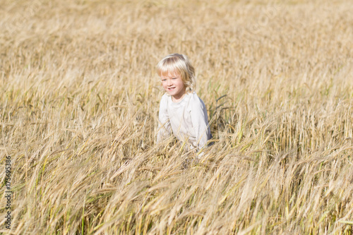 Obraz na płótnie Happy blond child has fun in the rye field, ripe ears of autumn harvest ready to crop w salonie