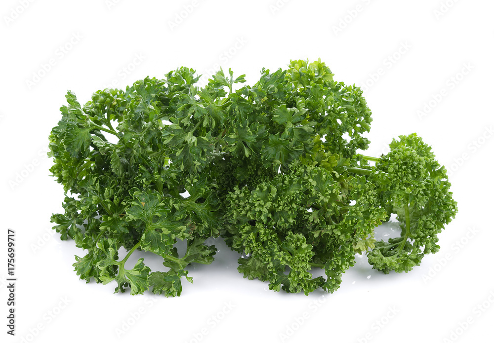 parsley isolated on a white background parsley isolated on a white background