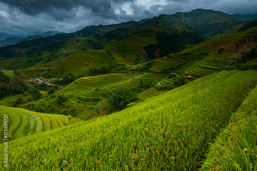 Beautiful landscape of rice terrace fields in Mu Cang Chai, Vietnam