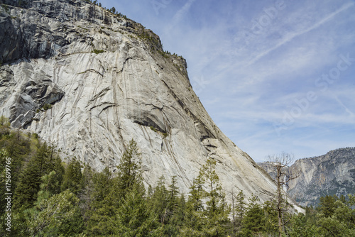 Mountain, forest landscape at Yosemite National Park