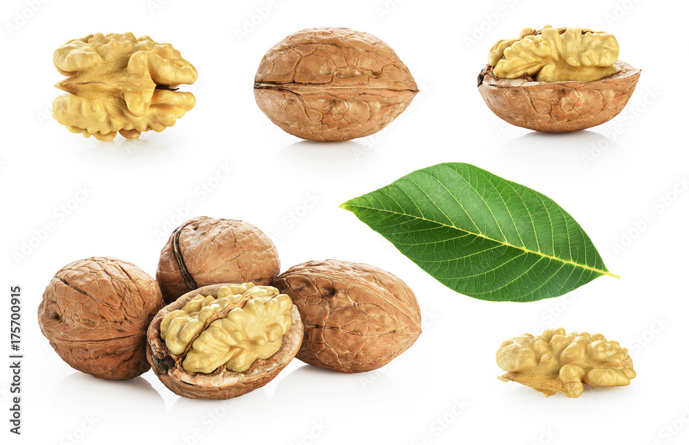 Walnuts, kernel walnut and leaves isolated on white background. Collection. Walnuts, kernel walnut and leaves isolated on white background. Collection.