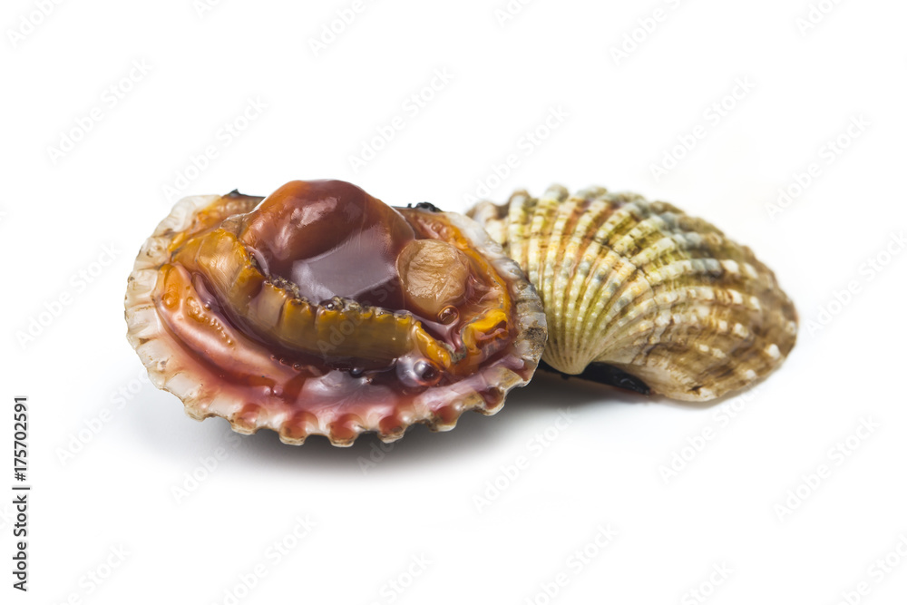 cockles