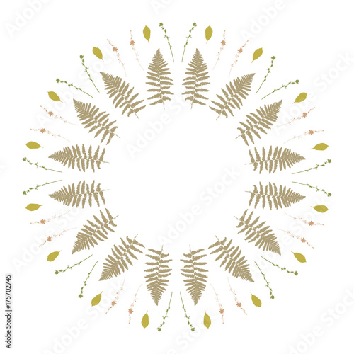 Floral vector botanical rounded illustration with different hand drawn leaves...