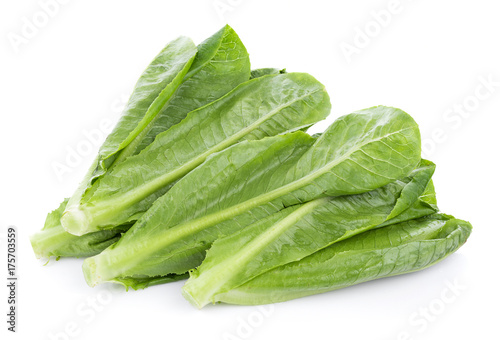 fresh cos lettuce isolated on white background