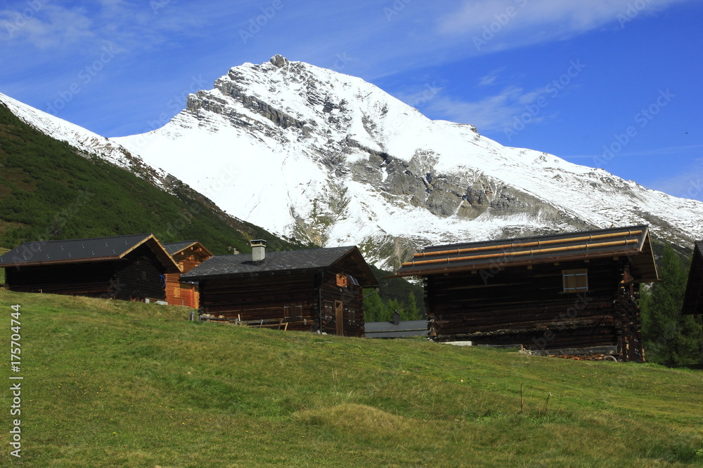 Wiesener Alp, Blick auf Valbellahorn