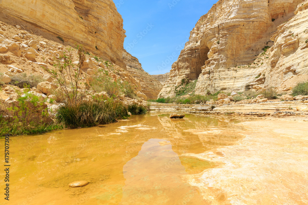 Small shallow creek in canyon Ein Avdat