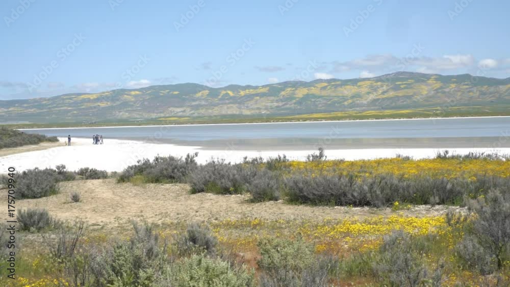 Beautiful yellow goldifelds blossom at Carrizo Plain National Monument, California, U.S.A. Beautiful yellow goldifelds blossom at Carrizo Plain National Monument, California, U.S.A.
