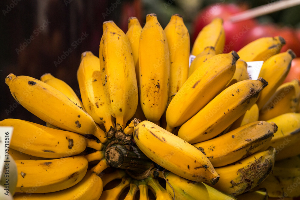 Madeira banana fruits Madeira banana fruits