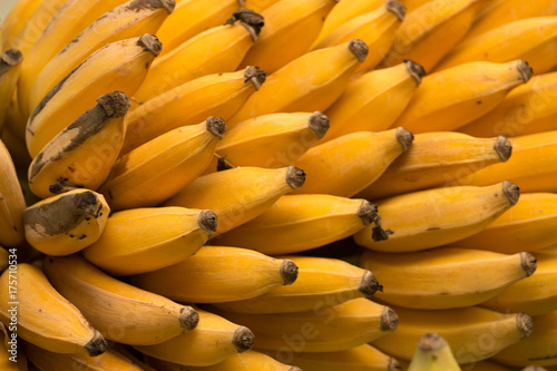 Madeira banana fruits