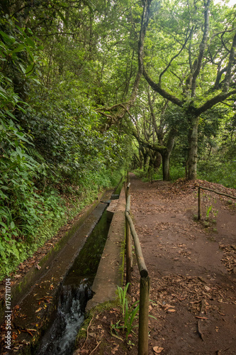 Levada of Caldeirao Verde