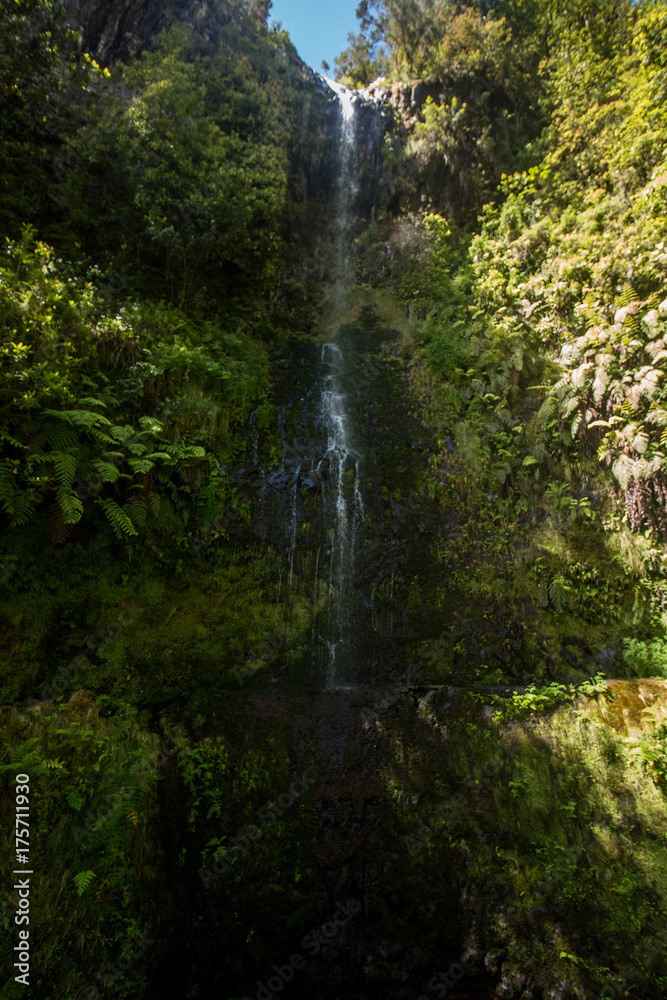 Naklejka premium Levada of Caldeirao Verde