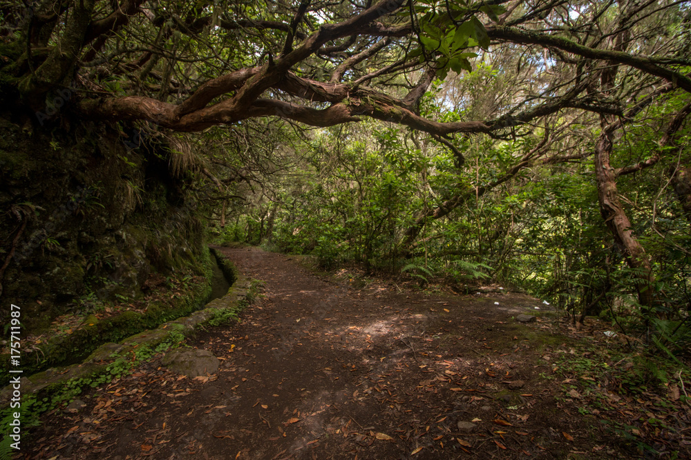 Levada of Caldeirao Verde Levada of Caldeirao Verde