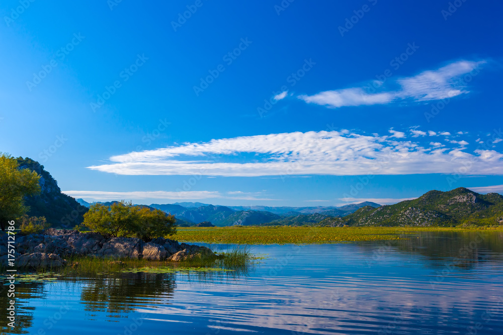 Trees and shrubs grow on rocks in the middle of Skadar Lake. Montenegro.