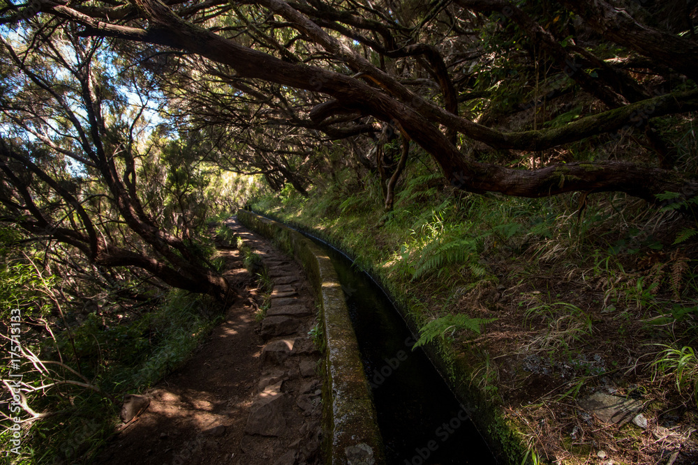 Levada of 25 fontes