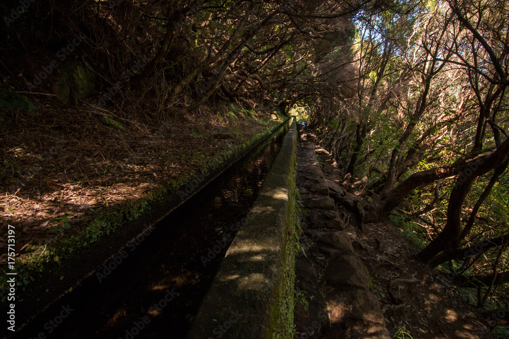 Obraz premium Levada of 25 fontes