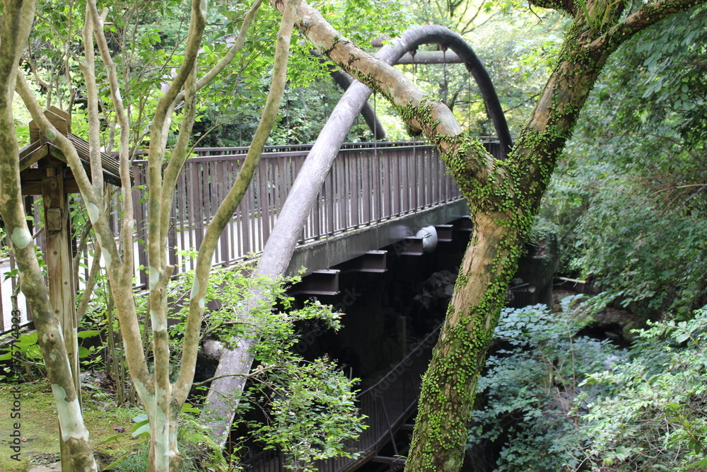 湯河原　万葉公園/湯河原温泉街の中心部、朱塗りの橋を渡った千歳川沿いの緑地公園。園内には、湯河原温泉が歌に詠まれた万葉集に登場する草花が植えられています。“日本の歴史公園100選”に認定されています。