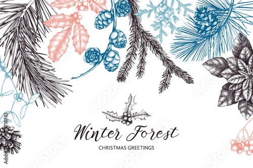 Vector frame with hand drawn conifers, holly berries, mistletoe, cones, mountain ash. Holiday decor elements. Vintage Christmas or New Year card design. Winter template