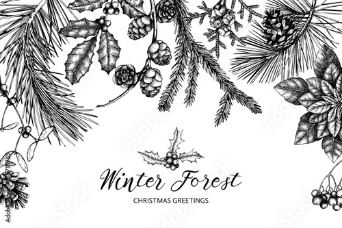 Vector frame with hand drawn conifers, holly berries, mistletoe, cones, mountain ash. Holiday decor elements. Vintage Christmas or New Year card design. Winter template
