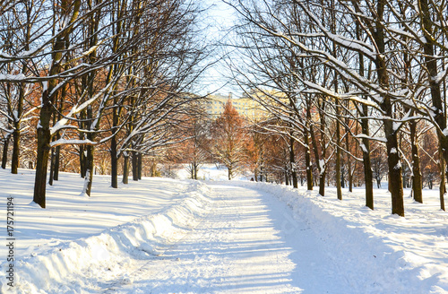 winter path © Tatsyana