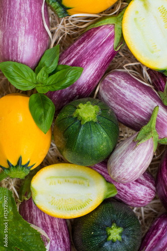 Fresh organic vegetables background, wallpaper - round courgette, small eggplants, diet concept, Italian and French food, healthy food.