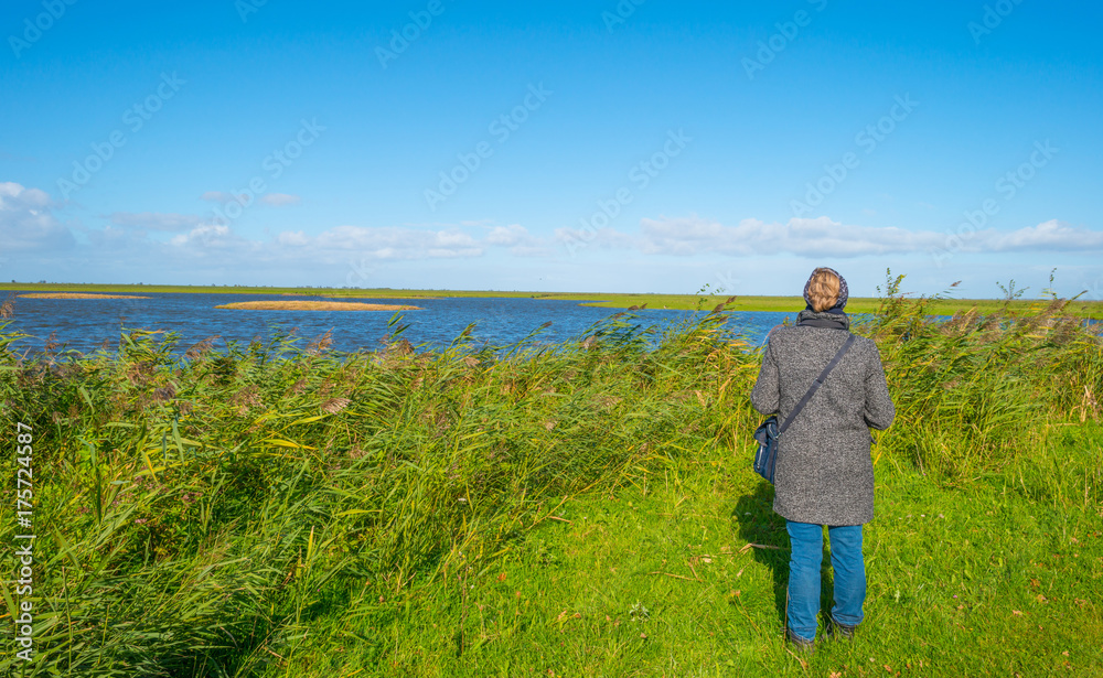  Shore of a lake below a blue sky in autumn