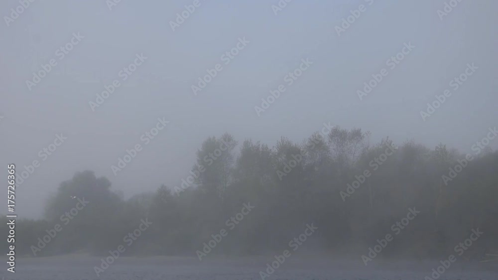 Morning fog on the Loire river and birds on the rive Morning fog on the Loire river and birds on the rive