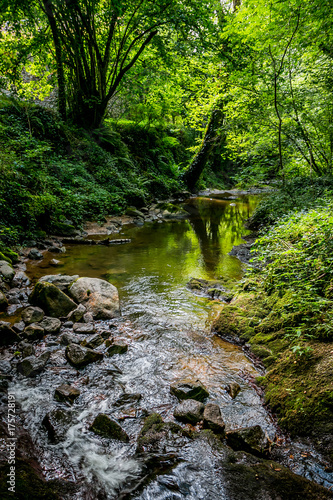 Le ruisseau d'Audiernes à Peyrusse-le-Roc photo