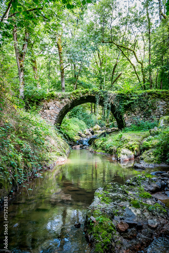 Le vieux pont sur le ruisseau d'Audiernes à Peyrusse-le-Roc © Gerald Villena