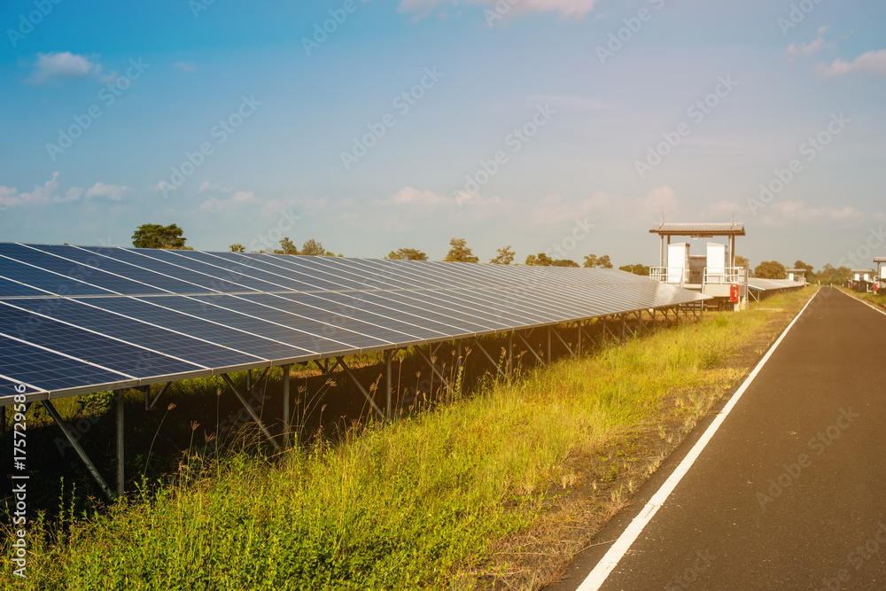 Solar farm renewable energy alternative of humanity