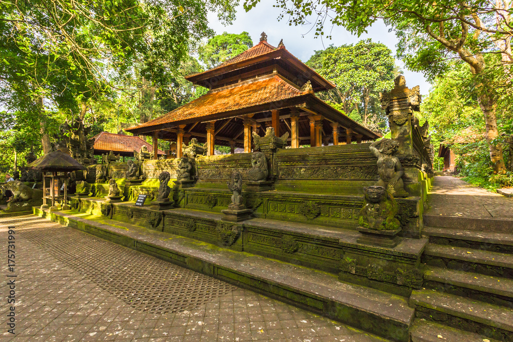 Monkey Forest. Bali Indonesia.