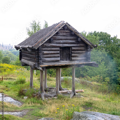 Wooden house on chicken or bird legs © Vitalinka