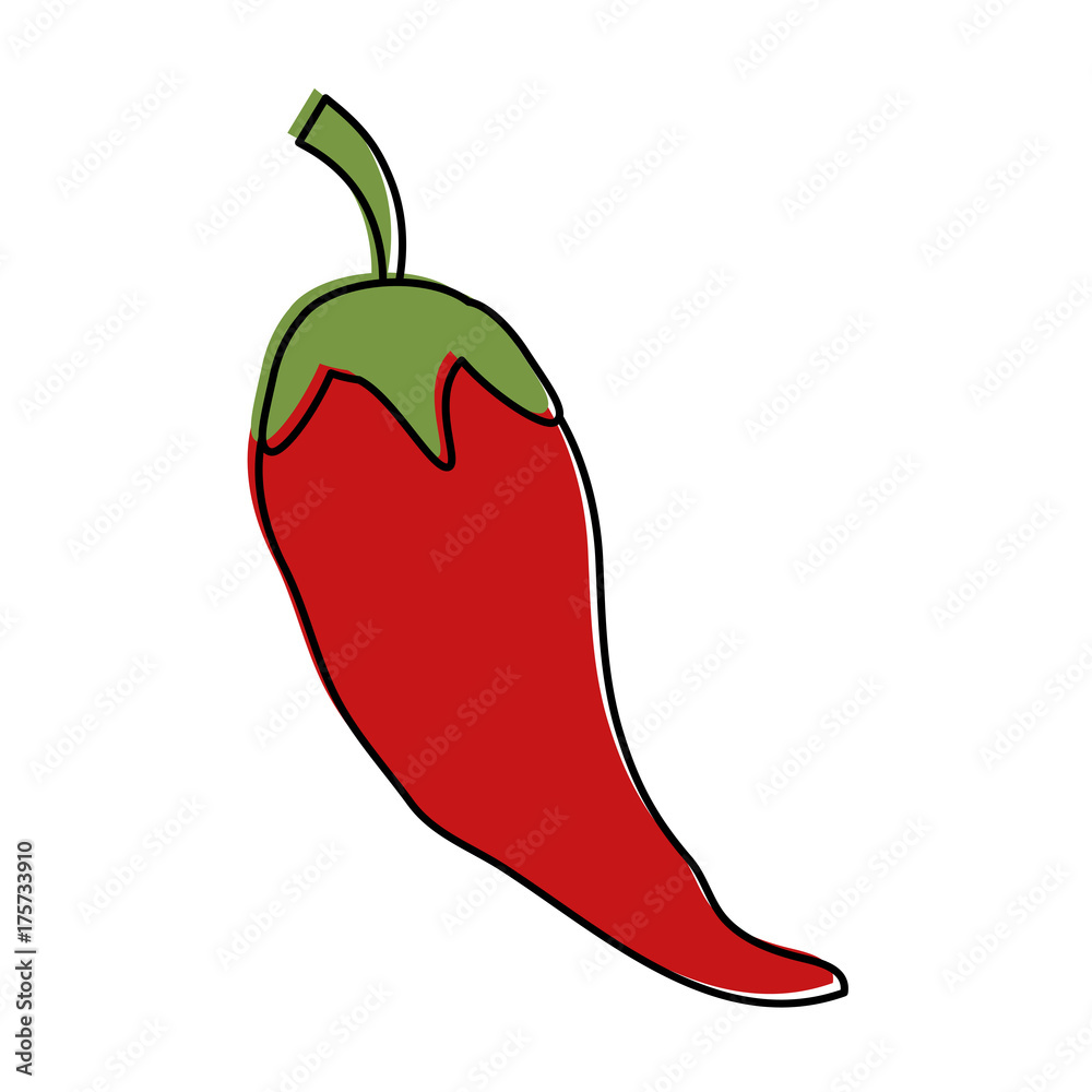 chili pepper vegetable icon image vector illustration design 