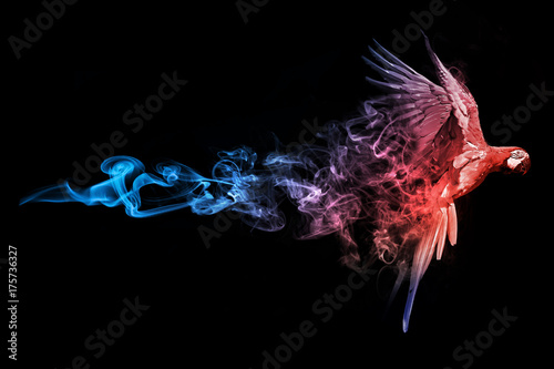 Macaw blue red animal kingdom collection with amazing effect