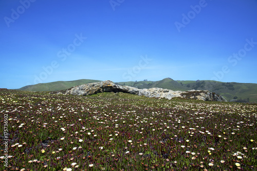 Duncan's Point