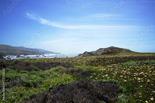 Duncan's View