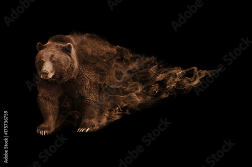 brown bear animal kingdom collection colorfull wildlife image with amazing effect