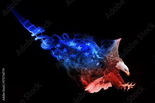 flag of the united states american bald eagle animal kingdom collection colorfull wildlife image with amazing effect