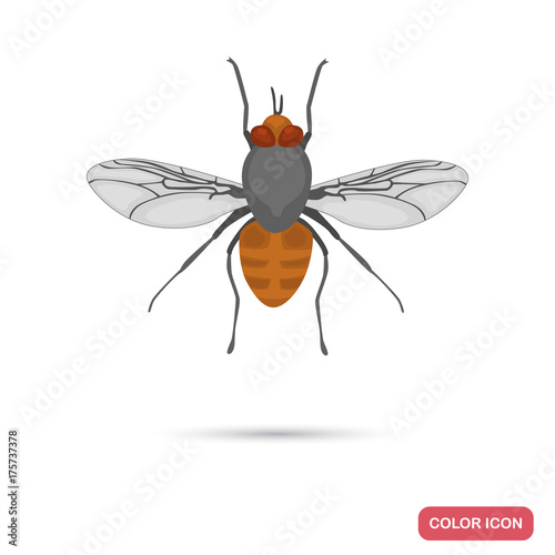 Tsetse fly color flat ico for web and mobile design