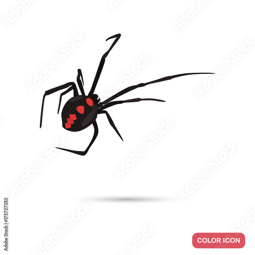 Black widow color flat icon for web and mobile design