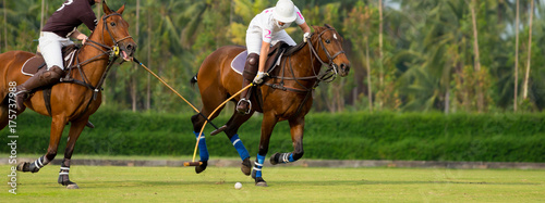 Horse Polo Player protect photo