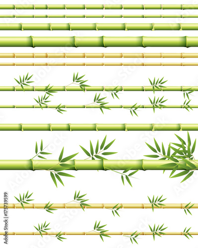 Different sizes of bamboo stems with and without leaves