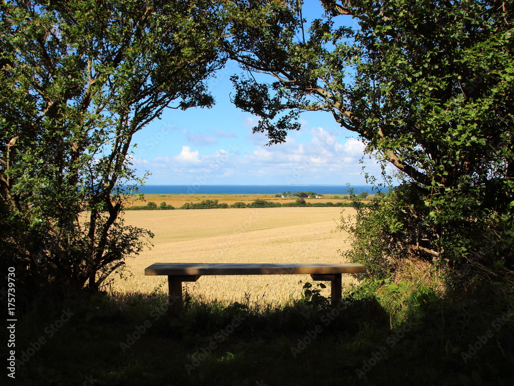 Scenic Viewpoint with Bench Sea Horizon and Fields Scenic Viewpoint with Bench Sea Horizon and Fields