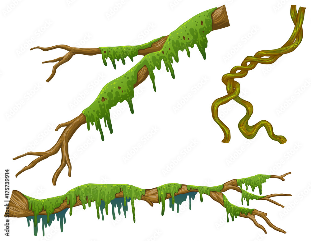 Wooden sticks with green moss