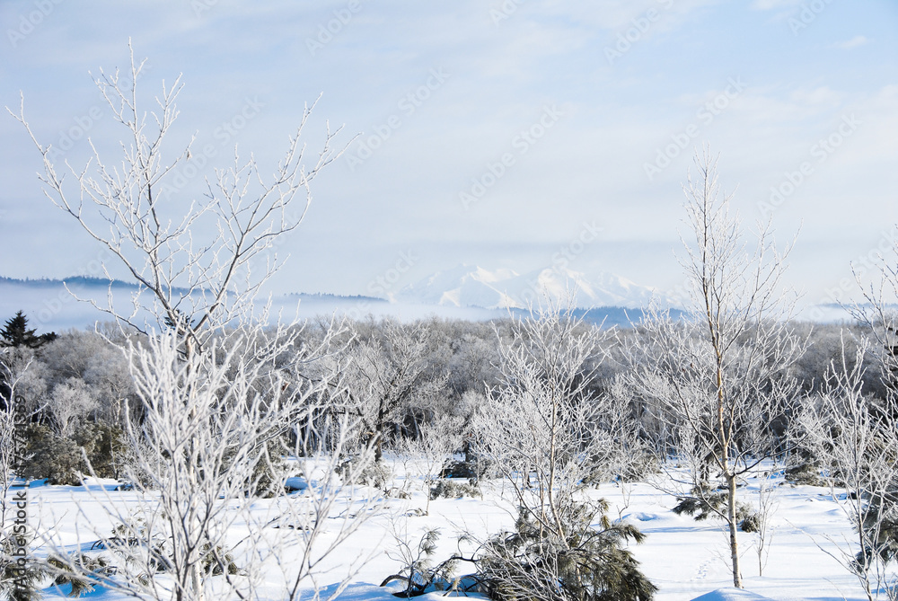 Obraz premium Snowfield, Morning Mist and Mt. Shari, Teshikaga Town, Hokkaido, Japan
