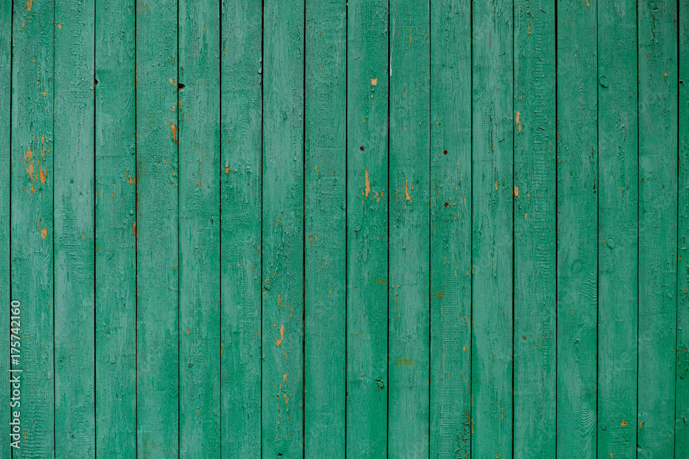 Fototapeta premium old wooden wall, green background