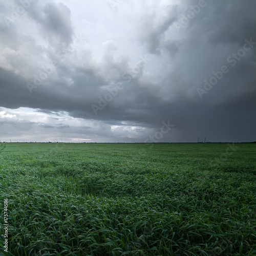 storm clouds over a field / spring weather natural phenomena