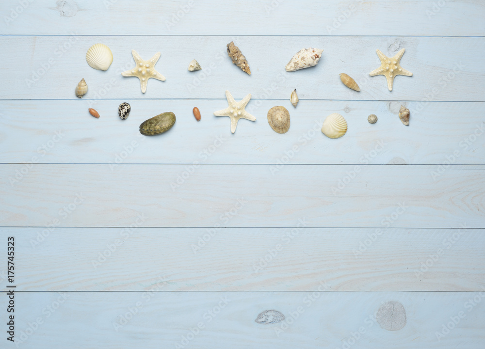 Conchas y caracolas marinos sobre fondo de madera azul